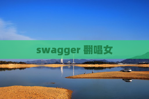 swagger 翻唱女